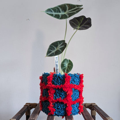 Tufted plant pot - teal and blood orange