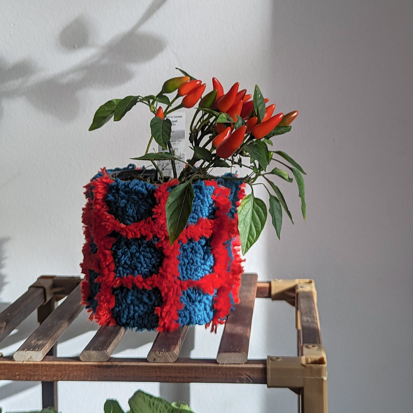 Tufted plant pot - teal and blood orange