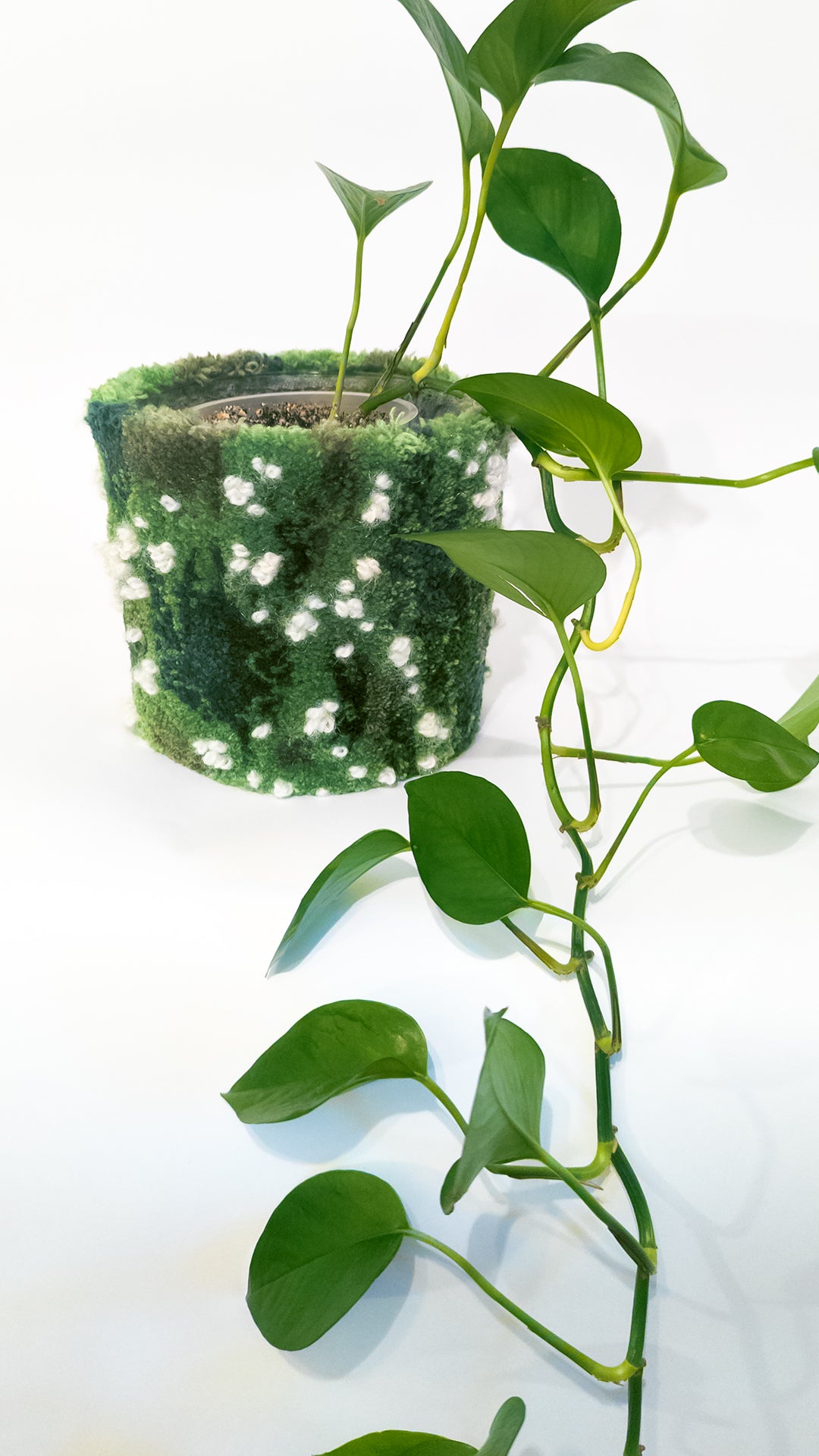 Tufted plant pot - Flowery moss